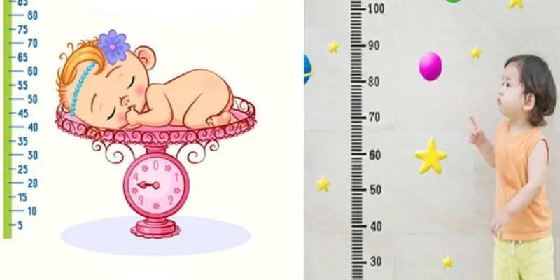 Chiều Cao Cân Nặng